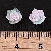 Luminous Resin Decoden Cabochons RESI-K036-47-3