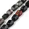 Natural African Bloodstone Beads Strands G-N342-147-1