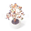 Mother's Day Natural Gemstone Chips with Brass Wrapped Wire Money Tree on Ceramic Vase Display Decorations DJEW-B007-02F-3