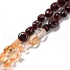 Natural Garnet & Citrine Beads Strands G-L610-B07-01-1
