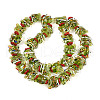 Handmade Lampwork Beads LAMP-T023-16D-2