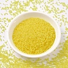 MIYUKI Delica Beads SEED-X0054-DB0743-1