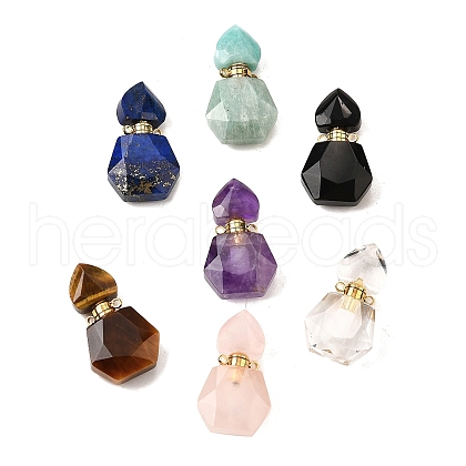 Natural Mixed Stone Perfume Bottle Pendants G-L623-12G-1