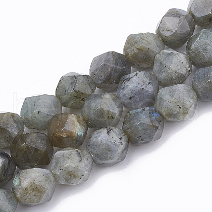 Natural Labradorite Beads Strands G-T064-50-1