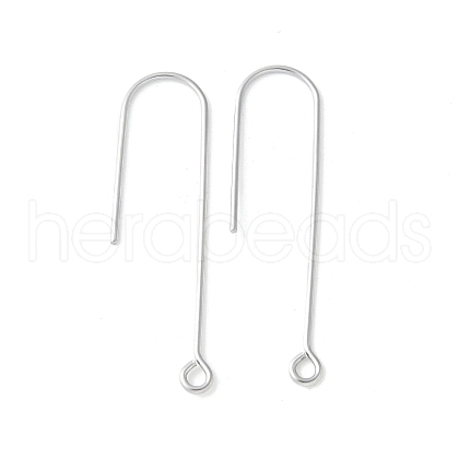 316 Surgical Stainless Steel Earring Hooks STAS-Z124-02A-P-1