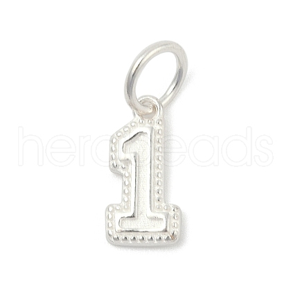 Number Series 925 Sterling Silver Charms STER-Q002-01B-1