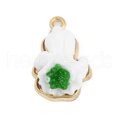 Alloy Pendants FIND-K020-17G-1
