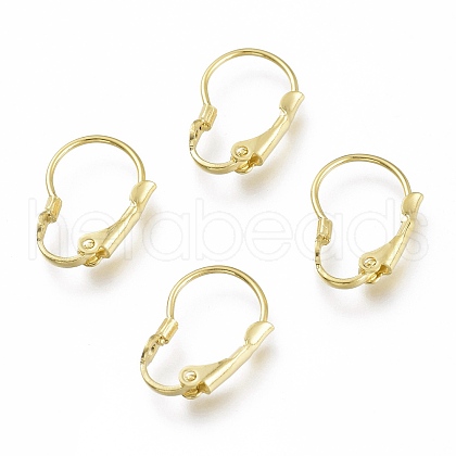 Brass Leverback Earring Findings X-KK-Z007-26G-1