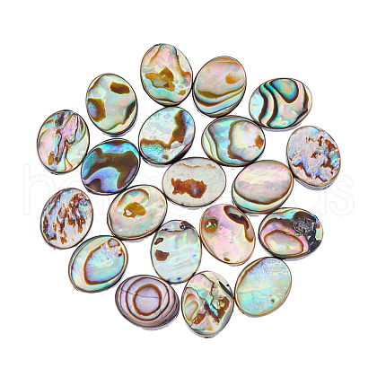 FIBLOOM 20Pcs Abalone Shell/Paua Shell Beads SSHEL-FI0001-03-1