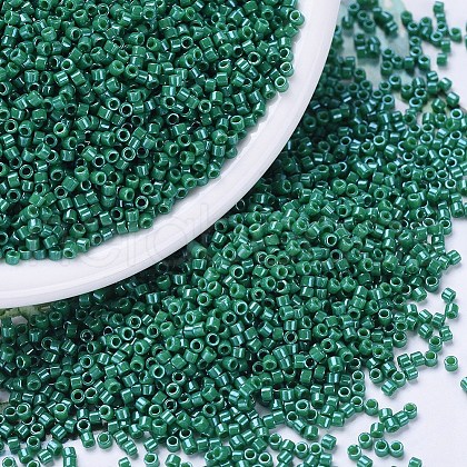 MIYUKI Delica Beads X-SEED-J020-DB0656-1