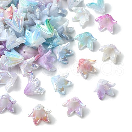 Opaque Acrylic Bead Caps MACR-CJC0006-13-1