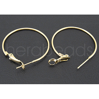 Golden Brass Hoop Earrings X-EC108-3NFG-1