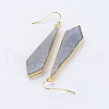 Natural Labradorite Dangle Earrings EJEW-P145-03A-2