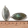 Natural Labradorite Pendants G-G063-03D-3