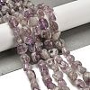 Natural Purple Lodolite Quartz Beads Strands G-P497-01E-39A-2