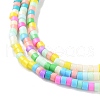 Handmade Czech Lampwork Beads Strands LAMP-L078-008I-3