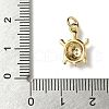 Brass Micro Pave Cubic Zirconia Charms KK-I276-37G-3