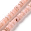 Natural Cultured Freshwater Shell Beads Strands SHEL-F002-01A-1