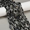 Natural Eagle Eye Stone Beads Strands G-Q060-D06-1