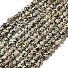 Natural Dalmatian Jasper Beads Strands G-P575-C03-6mm-2