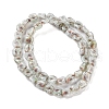 Handmade Milleflori Glass Beads Strands X-LAMP-M018-01A-03-2
