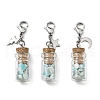 Natural Amazonite Chip inside Glass Wishing Bottle Pendant Decoration HJEW-JM03130-02-2