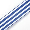 Polyester Ribbons OCOR-TAC0009-18C-3