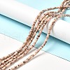 Natural Fossil Beads Strands G-I339-05-2