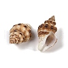 Natural Spiral Shell Pendants SHEL-K009-17C-2