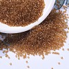 MIYUKI Delica Beads SEED-J020-DB1101-1