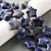 Natural Sodalite Beads Strands G-U023-C01-04-1