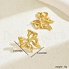 Fashionable Stainless Steel Stud Earrings BN2349-3-2