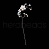 Glass Seeds Beads GLAA-K060-05G-05-4