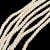 Synthetic Turquoise Beads Strands X-TURQ-G106-4mm-02Q-2
