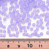 8/0 Transparent Glass Seed Beads SEED-S048-P-005-4