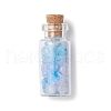 12Pcs Glass Wishing Bottles  Display Decoration PALLOY-JF03693-3