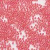 TOHO Japan Import Glass Round Seed Beads SEED-K008-2mm-979-2