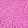 Baking Paint Pearlized Glass Seed Beads SEED-T008-03K-3