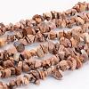 Natural Picture Jasper Chips Beads Strands F002-1