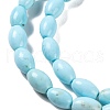 Natural Howlite Beads Strands G-H025-02A-4