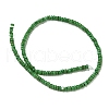 Dyed Natural Freshwater Shell Beads Strands X1-BSHE-G039-07H-2