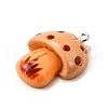 Resin Pendnats FIND-U030-05A-P-2