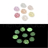 UV Plating Luminous Rainbow Iridescent Acrylic Beads LACR-R001-15A-1