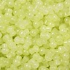Transparent Colours Glass Seed Beads SEED-R001-01M-2