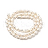 Natural Cultured Freshwater Pearl Beads Strands PEAR-I007-01N-01-3