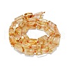 Natural Citrine Beads Strands G-O170-113-2