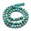 Natural HuBei Turquoise Beads Strands G-G106-G01-02-2