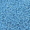 MIYUKI Delica Beads SEED-X0054-DB0218-2