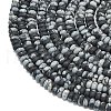 Natural Snowflake Obsidian Beads Strands G-P575-A23-4x2mm-3