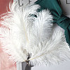 Ostrich Feather Ornament Accessories FEAT-PW0001-005A-1